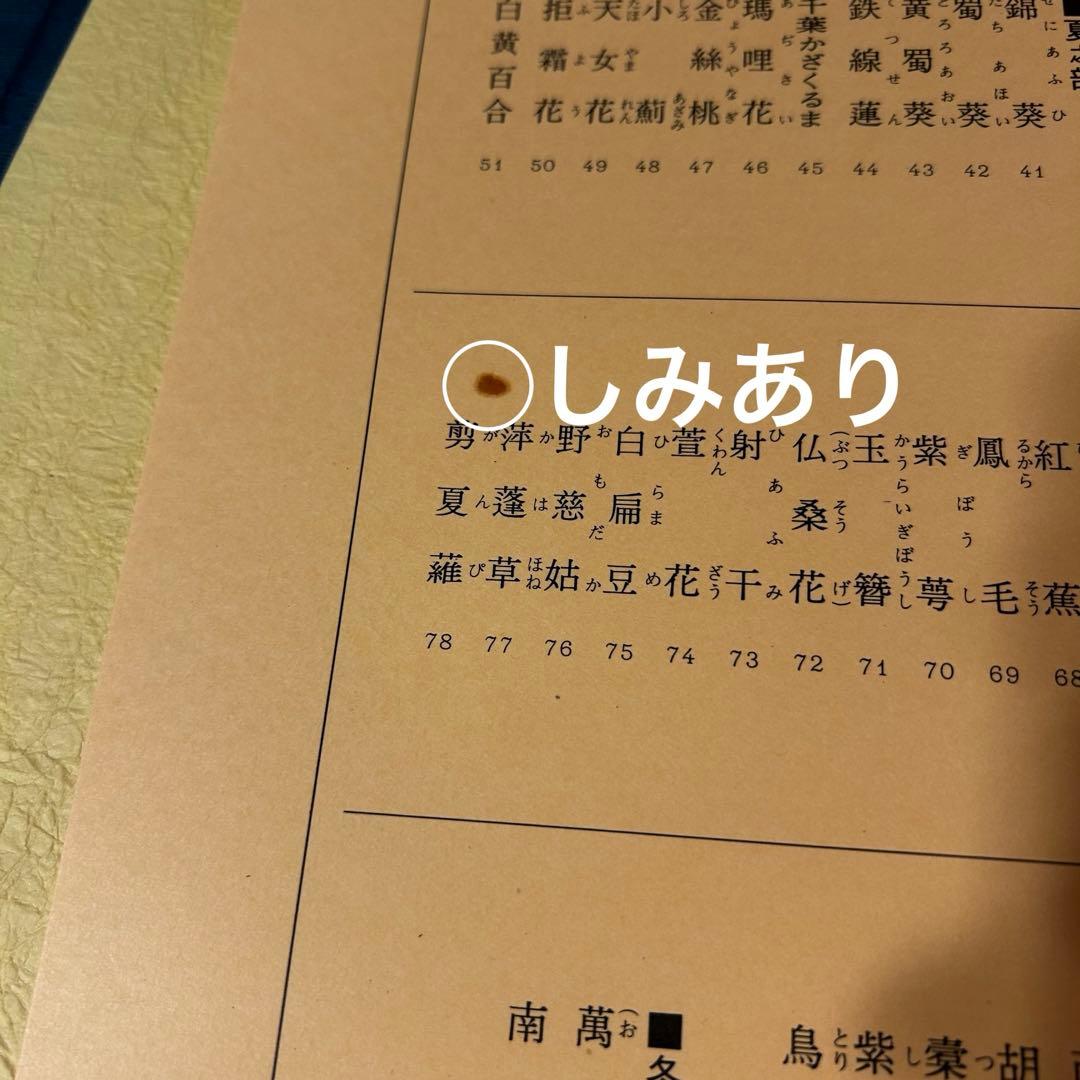 若冲画譜　大型書籍　伊藤若冲（1719-1800）作品集　希少　限定1,200部