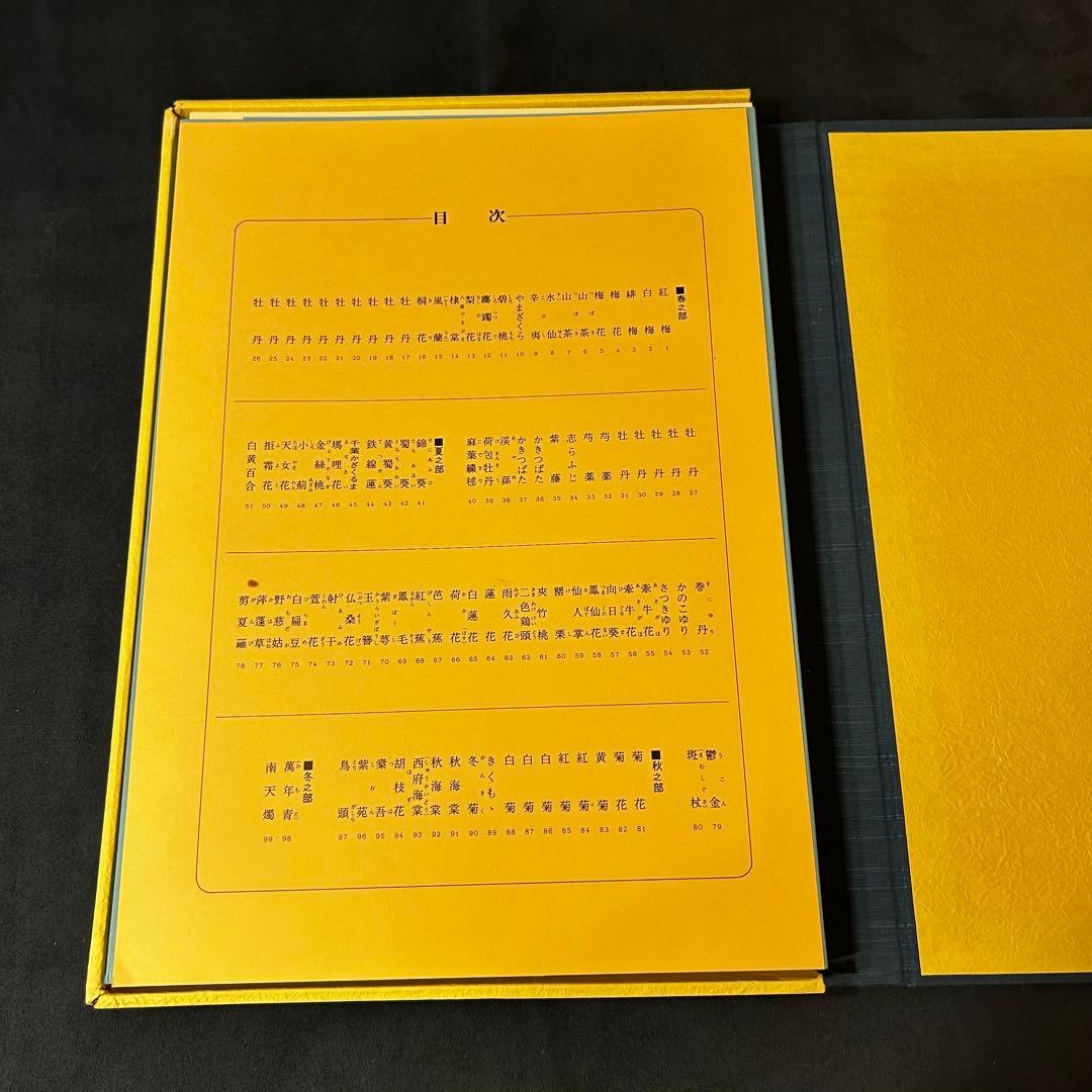 若冲画譜　大型書籍　伊藤若冲（1719-1800）作品集　希少　限定1,200部
