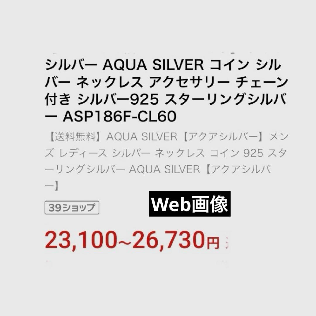 アクアシルバー 幸せの 6ペンス  モチーフ SILVER ネックレス