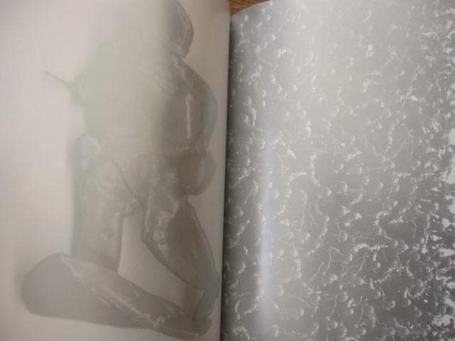 Luxurygood　Ryan Mcginness　直筆サイン　限定1000部