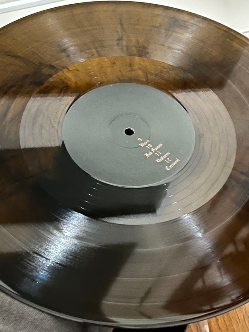Kanye West Ty Dolla $ign Vultures1LPレコード