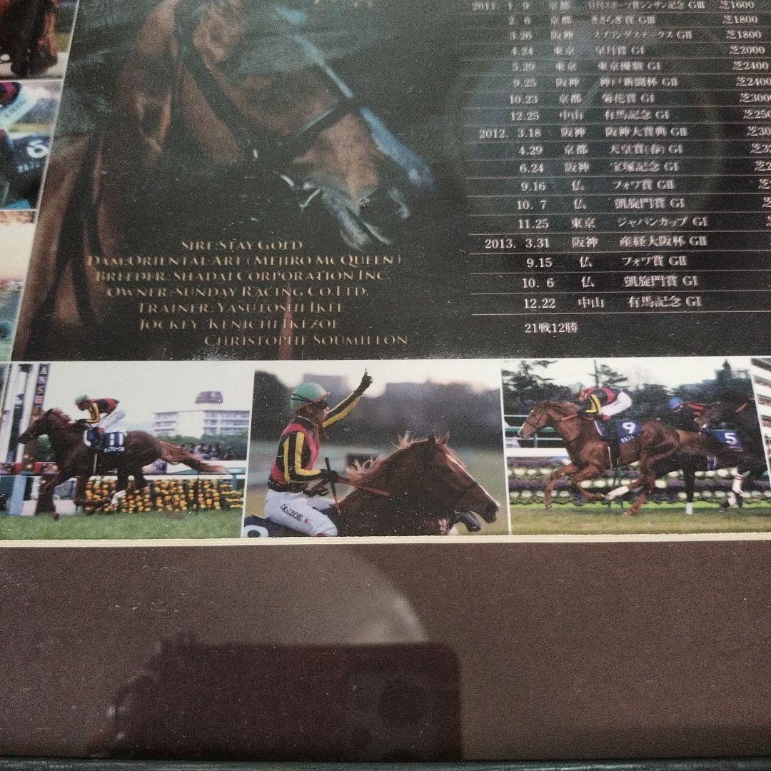 ☆競馬☆　ORFEVRE　オルフェーヴル　三冠馬　 記念パネル　池添謙一騎手