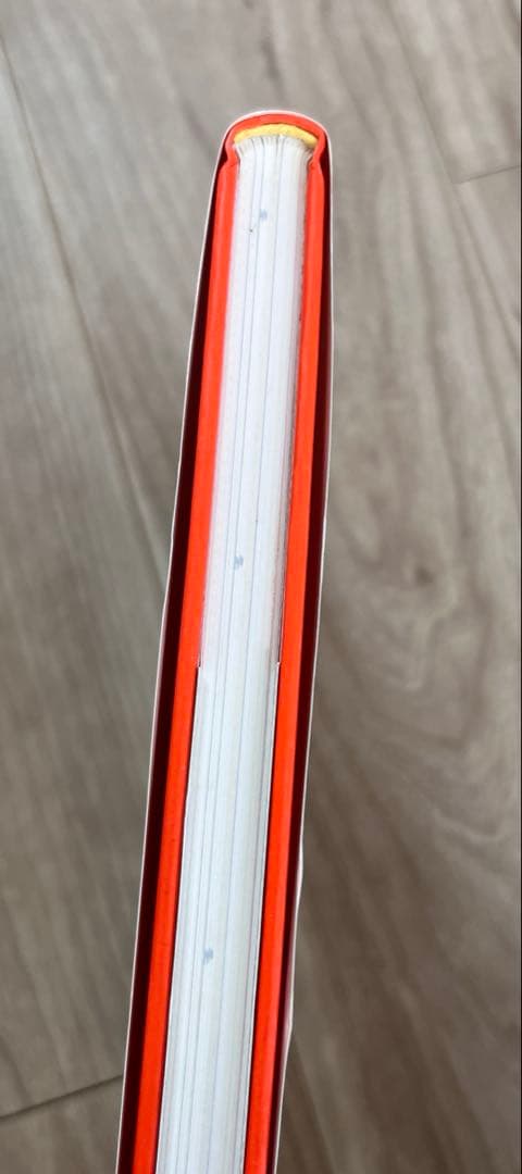 ZWARTE BEERTJES ディック・ブルーナ装丁の仕事　2冊セット