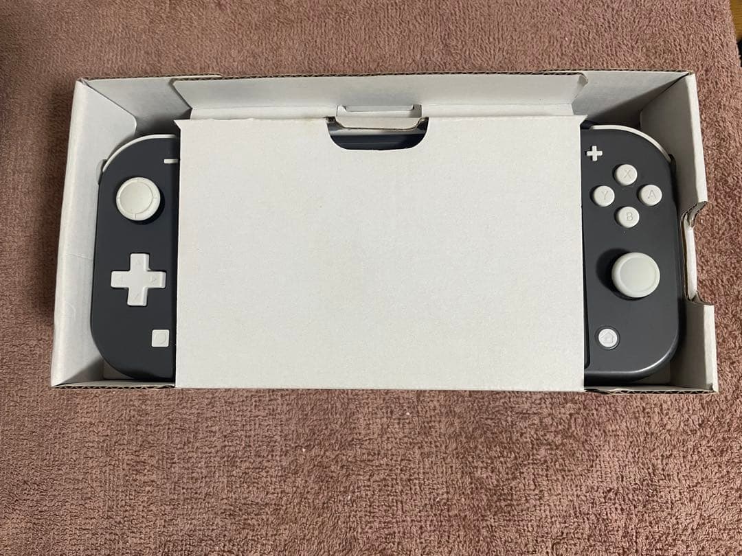 Nintendo Switch Lite グレー 本体 ケース&カバー付き