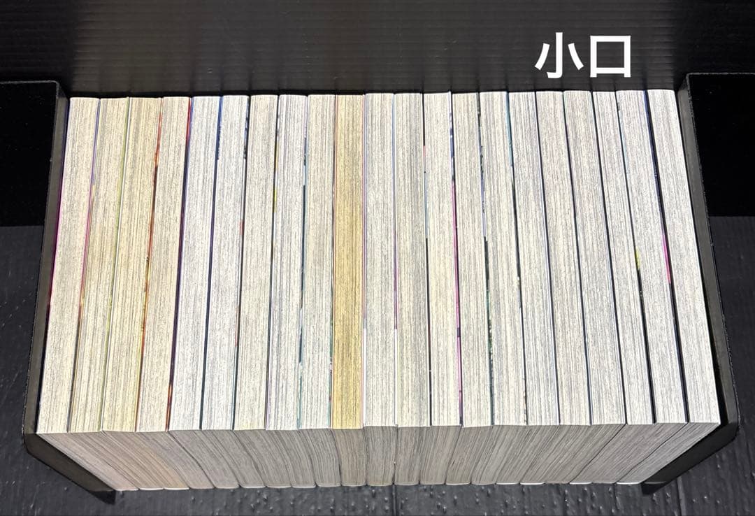 不滅のあなたへ 1-21巻