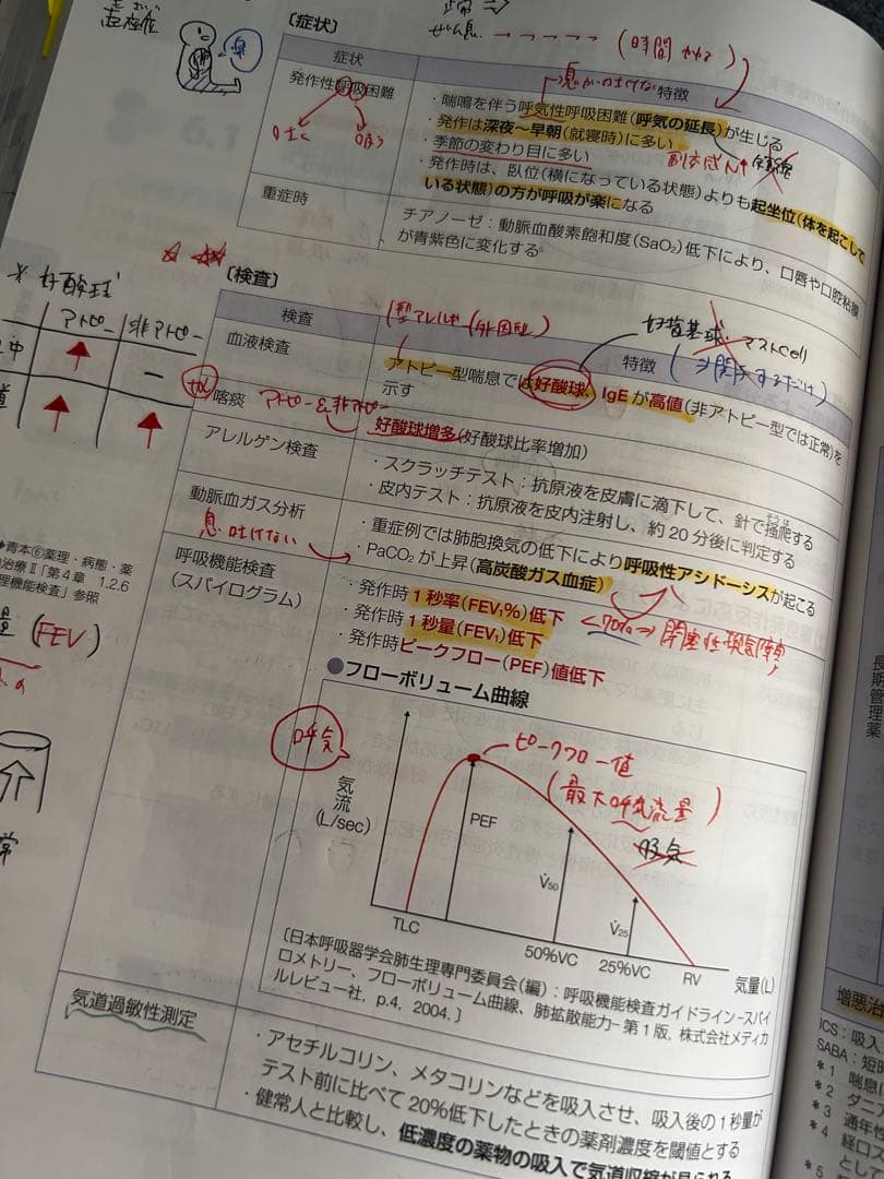 111回薬剤師国家試験対策参考書　青本青問セット　おまけつき