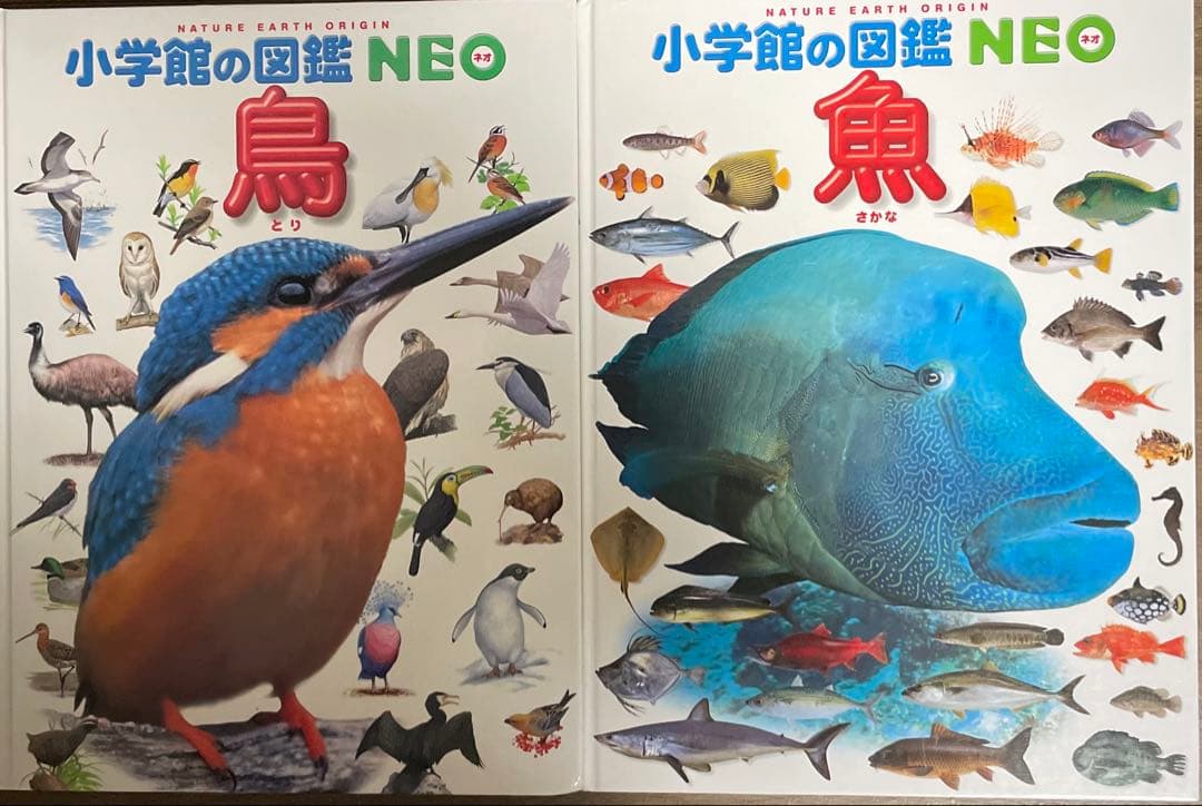 ★11冊セット★小学館の図鑑NEO