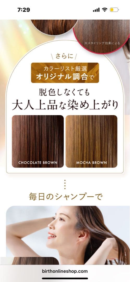 Na.be カラーシャンプー 250ml + 300ml2袋