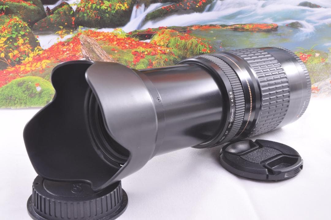 レンズが残す絆！ Canon キヤノン EF75-300mm 望遠レンズ