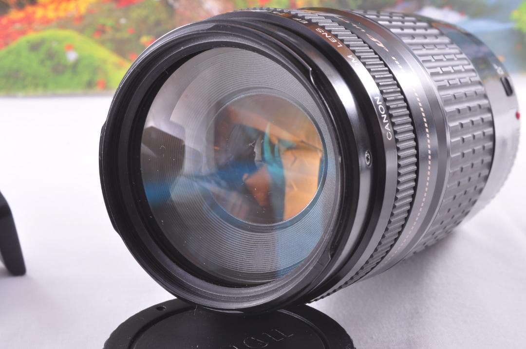 レンズが残す絆！ Canon キヤノン EF75-300mm 望遠レンズ