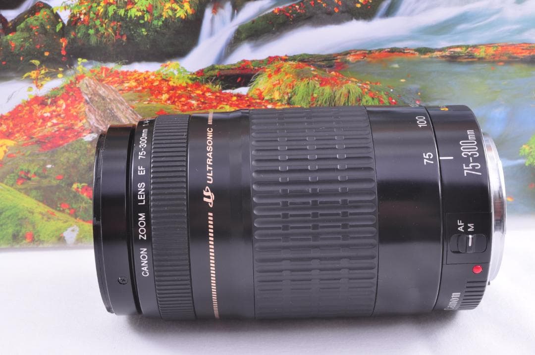 レンズが残す絆！ Canon キヤノン EF75-300mm 望遠レンズ