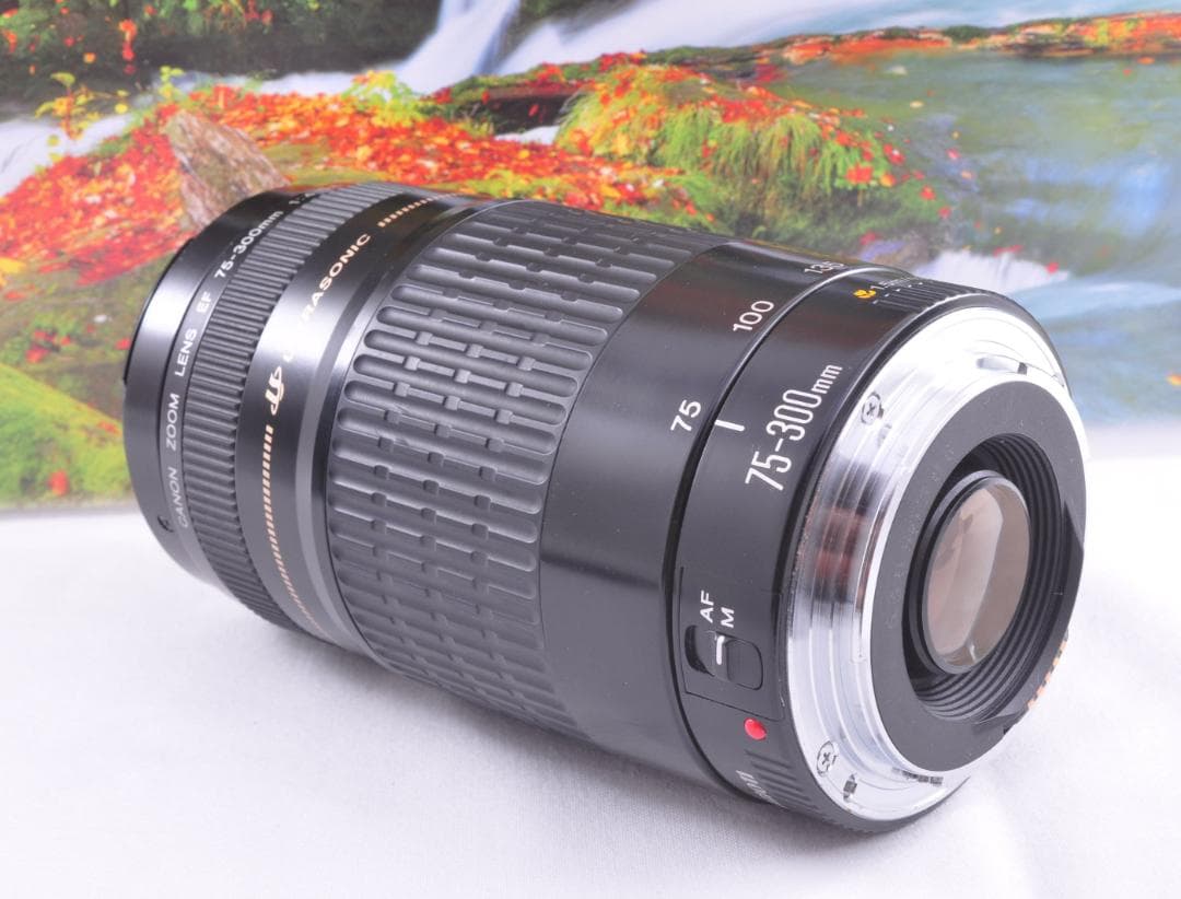 レンズが残す絆！ Canon キヤノン EF75-300mm 望遠レンズ