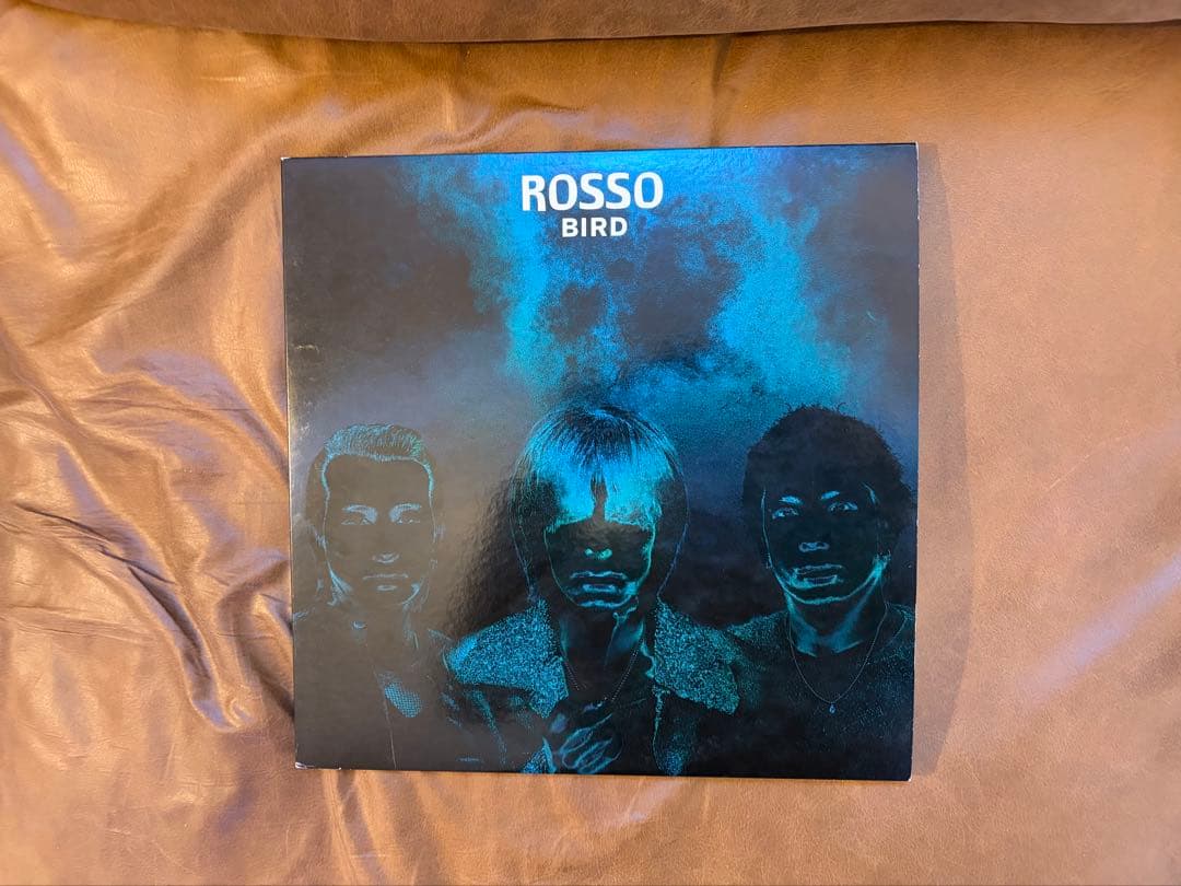 【希少LP】ROSSO / BIRD アナログ盤 2枚組 レコード（チバユウスケ