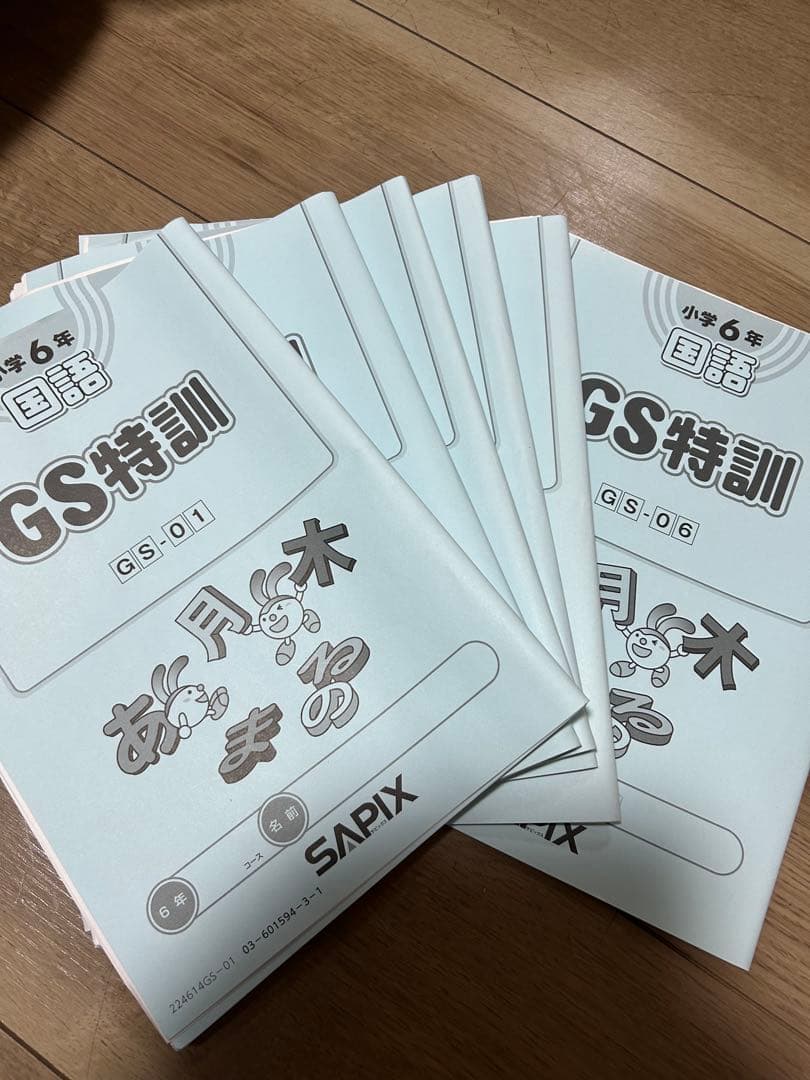 sapix 6年　国語B　平常テキスト　おまけ付き