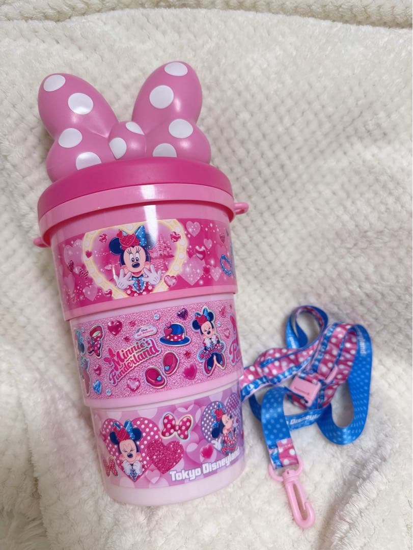 ディズニー　パルパルーザ　ファンダーランド　ポップコーンバケット