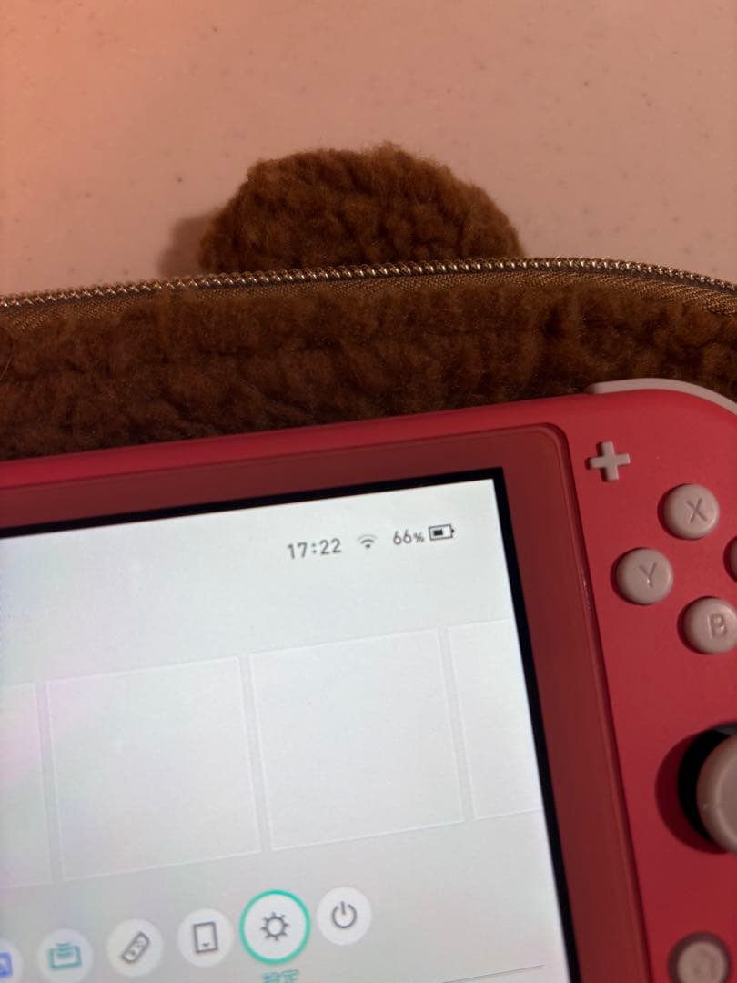 ⭐︎美品⭐︎ Nintendo Switch Lite 本体　コーラルピンク