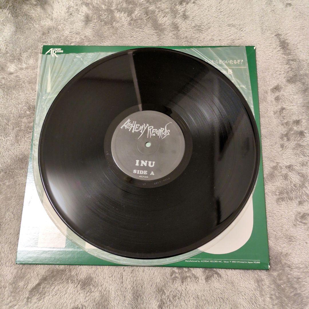 レア　イヌ レコード