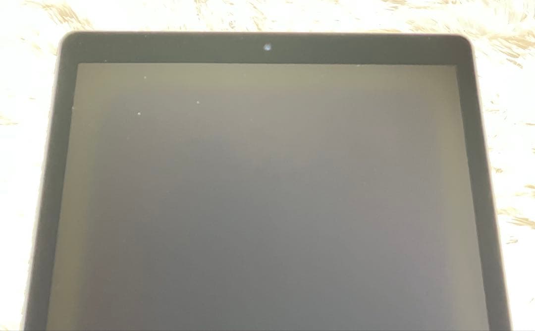 【完動品】iPad Pro 12.9 第2世代 256GB SIMフリー