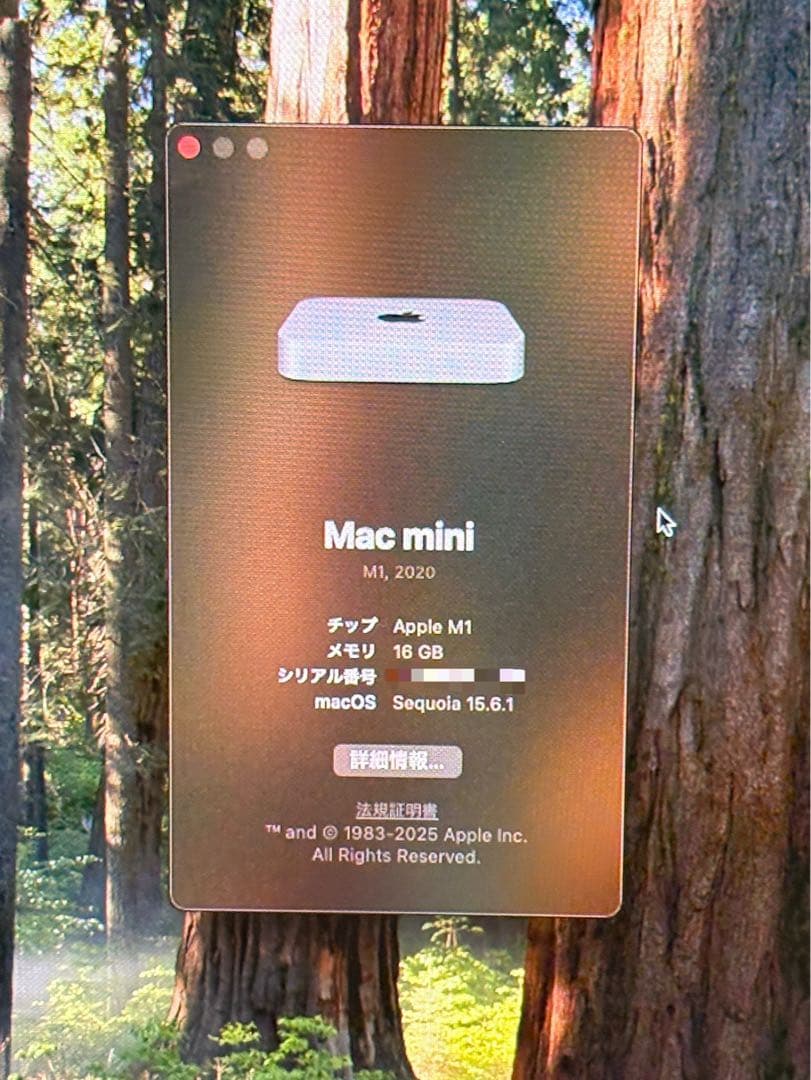 本日限定！Apple Macmini M1 16GB 512GB フルセット