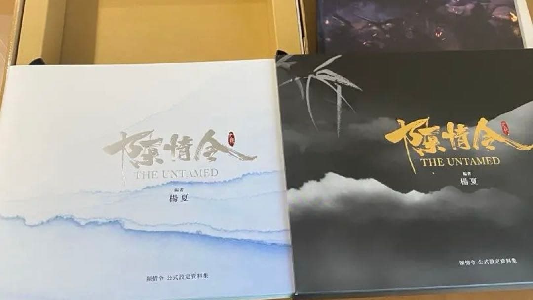 陳情令 公式設定資料集 初回限定特装版 完品 美品 The Untamed