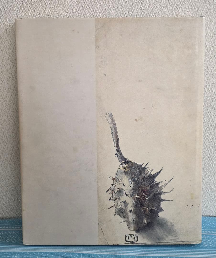 ホルスト・ヤンセン 画集 1945-1995 ドイツ版画 素描 銅版画 美術書