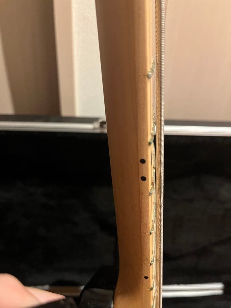 ハードケース付き　LAKLAND Skyline Series SK-4CL