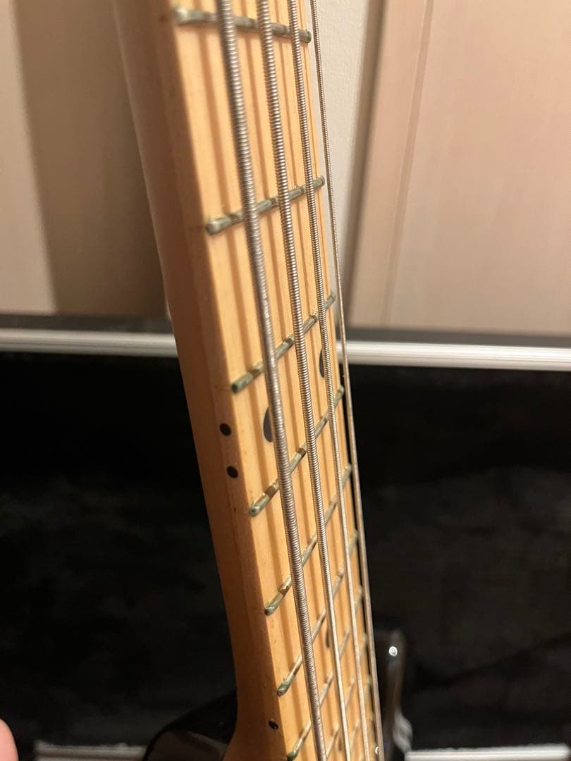 ハードケース付き　LAKLAND Skyline Series SK-4CL