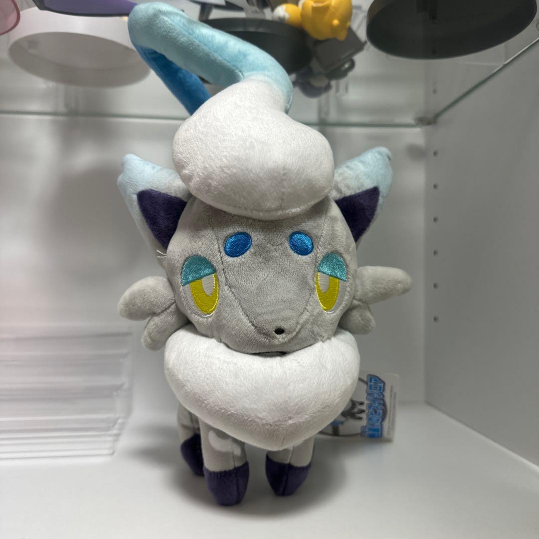 ポケモンセンター　色違いのヒスイゾロア　タグ付き