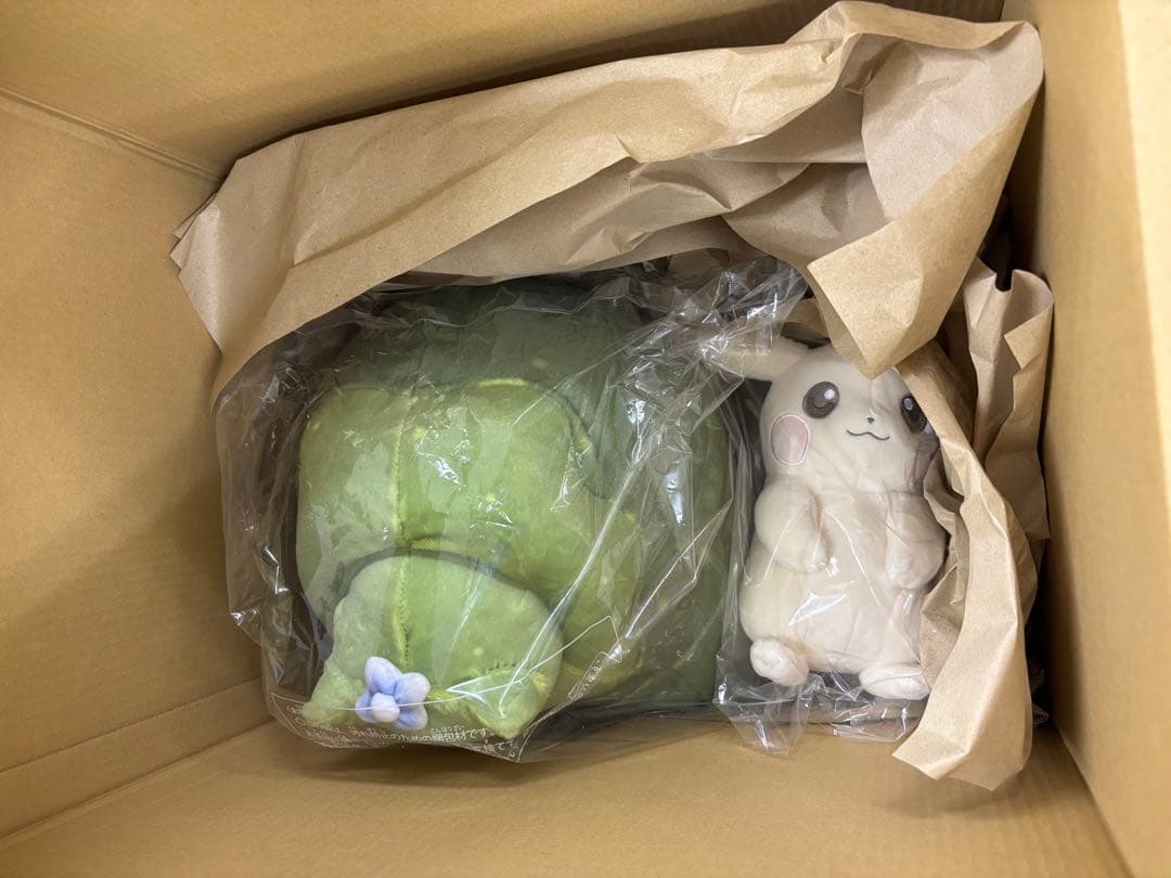 ぽこ あ ポケモン『ピカチュウうすいろ&カビゴンこけむし』
