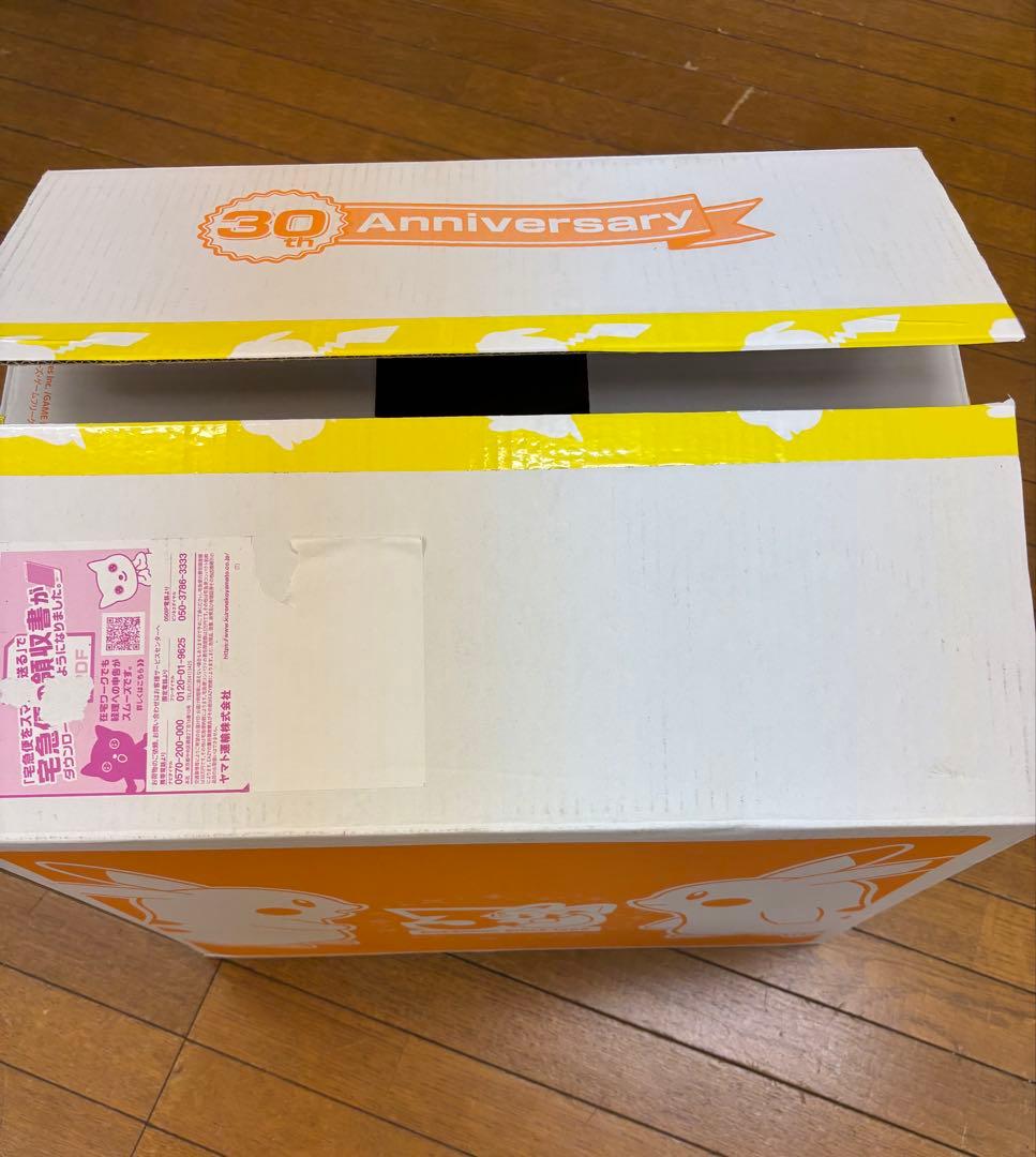 ぽこ あ ポケモン『ピカチュウうすいろ&カビゴンこけむし』