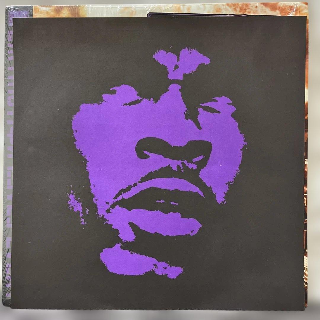 ★ Busta Rhymes ２枚組 レコード 2LP