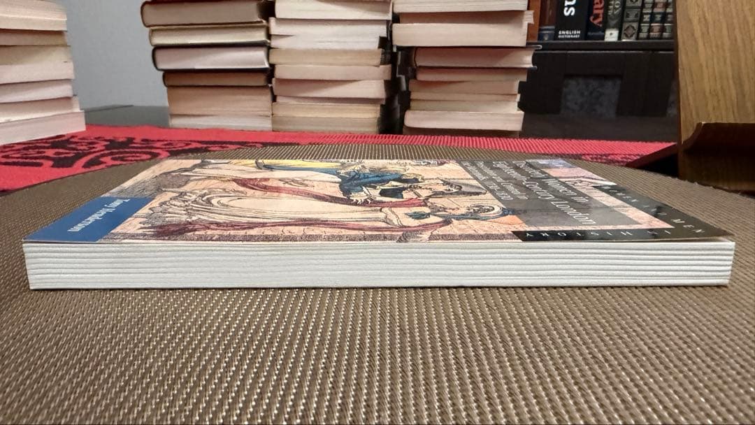 洋書 Disorderly Women in 18th Century London
