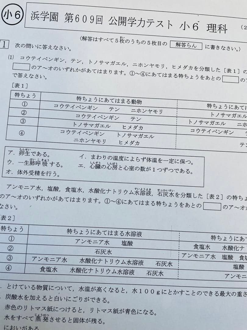 浜学園 小6 2023年、2024年度 2年分 4科目 公開学力テスト
