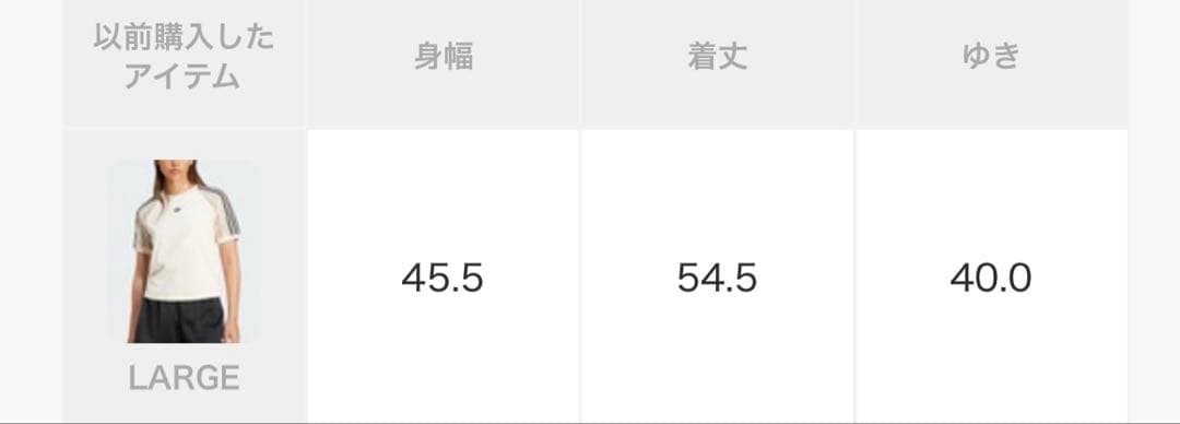 限定値下げ　adidas アディダス 半袖Tシャツ L