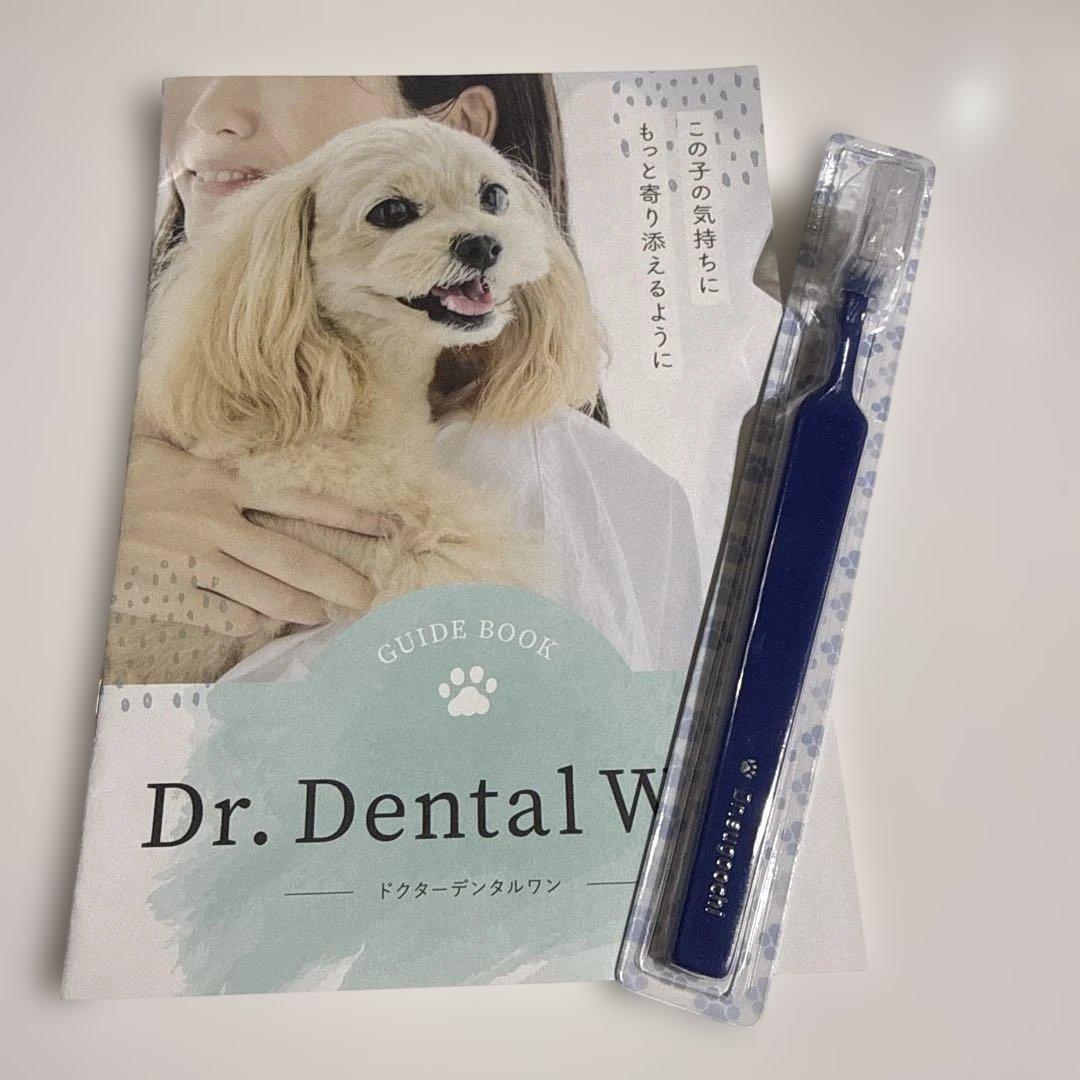 Dr. Dental Wan デンタルケア用品 30g