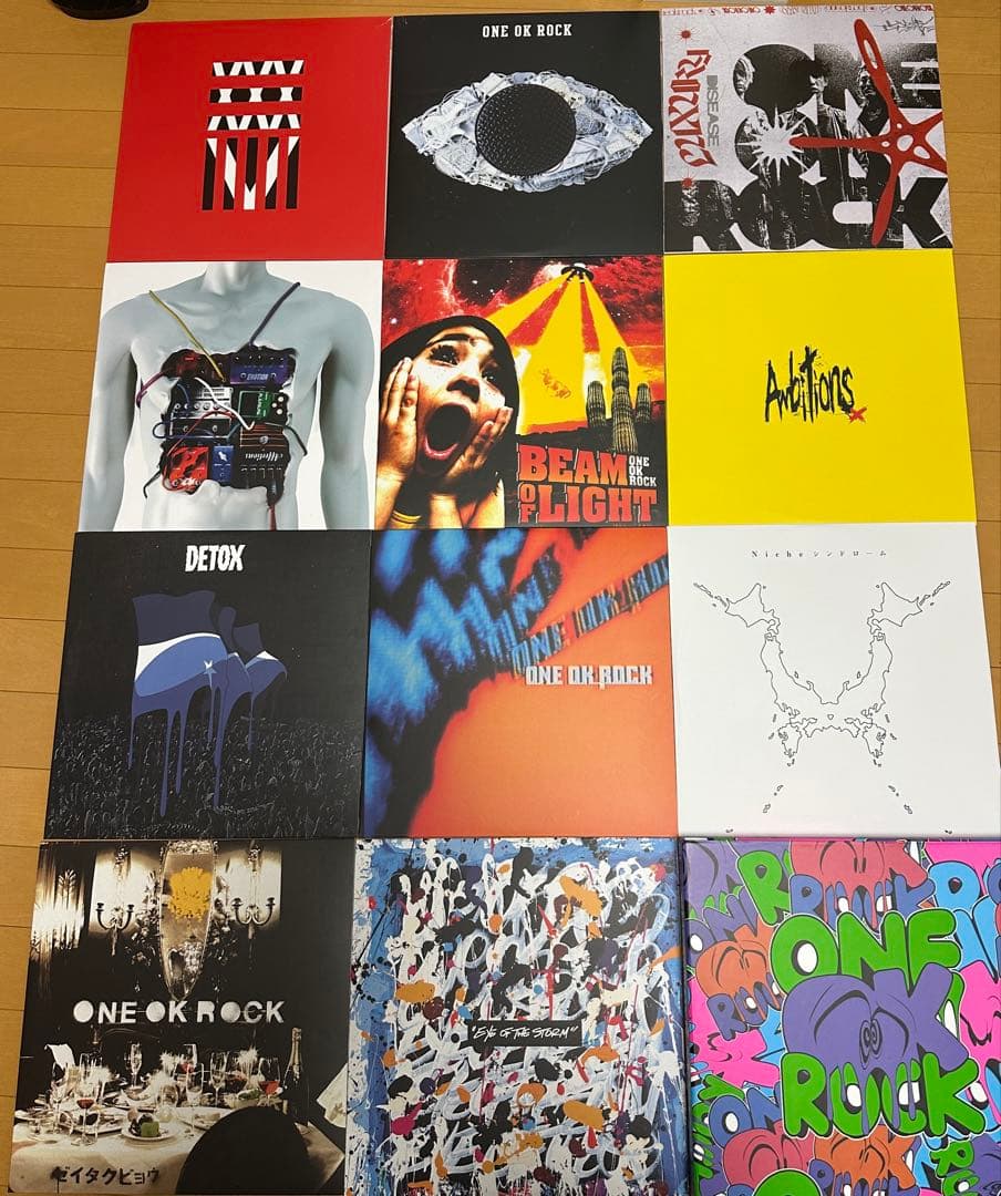 ONE OK ROCK レコード11枚組　初回生産限定版