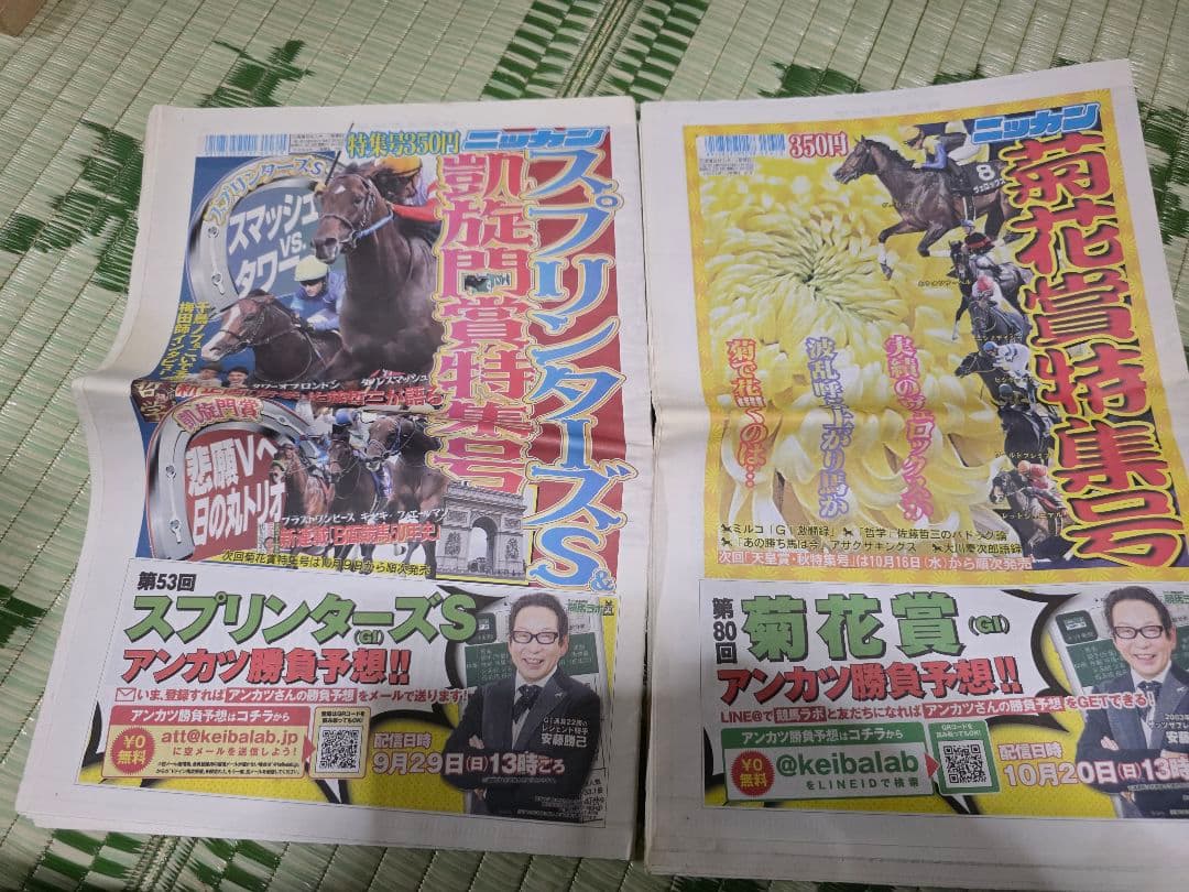 競馬特集号 G1レース特集号2019