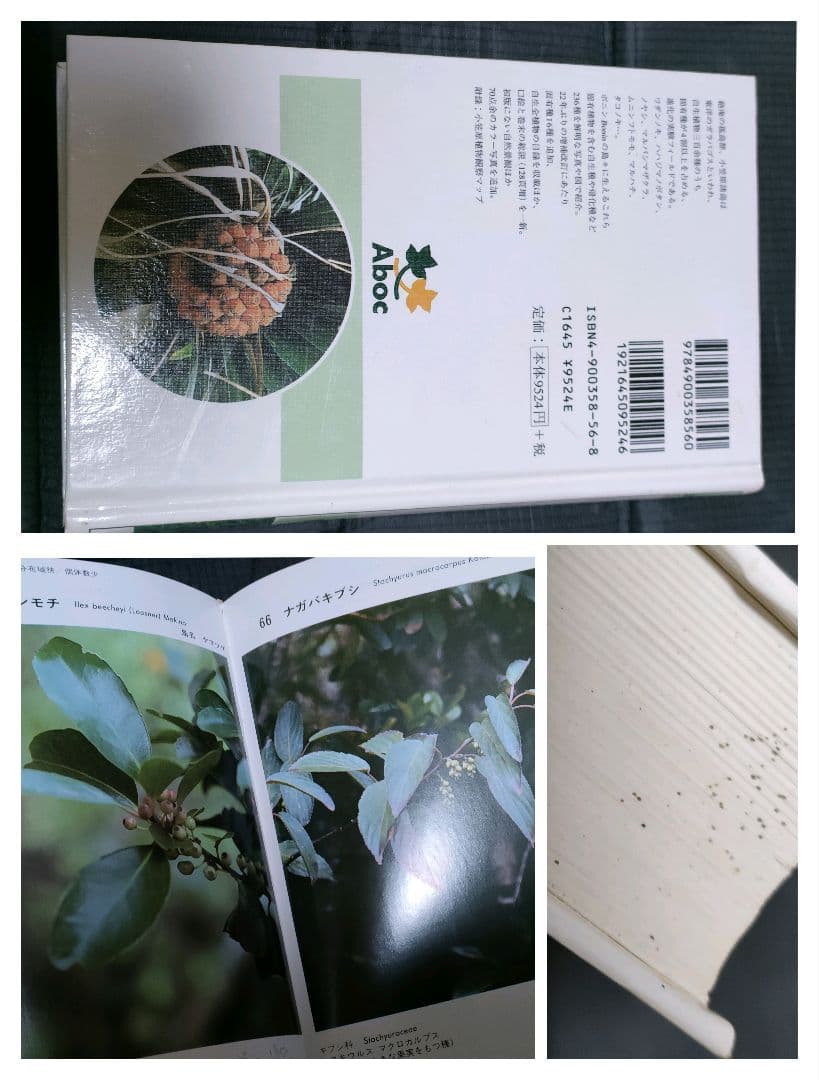 小笠原植物図譜　離島　小笠原諸島