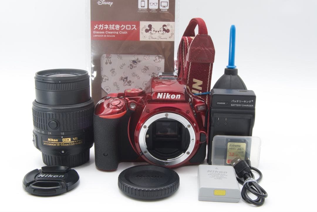人気機種】Nikon D5500 希少カラー　レンズキットデジタル一眼レフ　美品