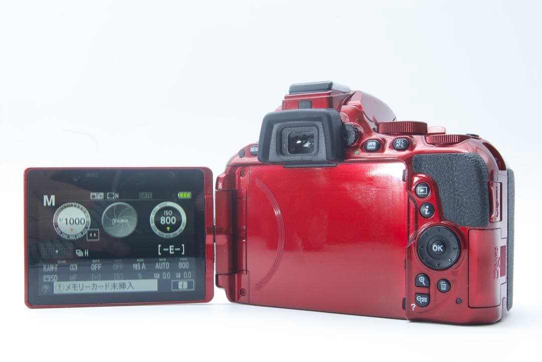 人気機種】Nikon D5500 希少カラー　レンズキットデジタル一眼レフ　美品