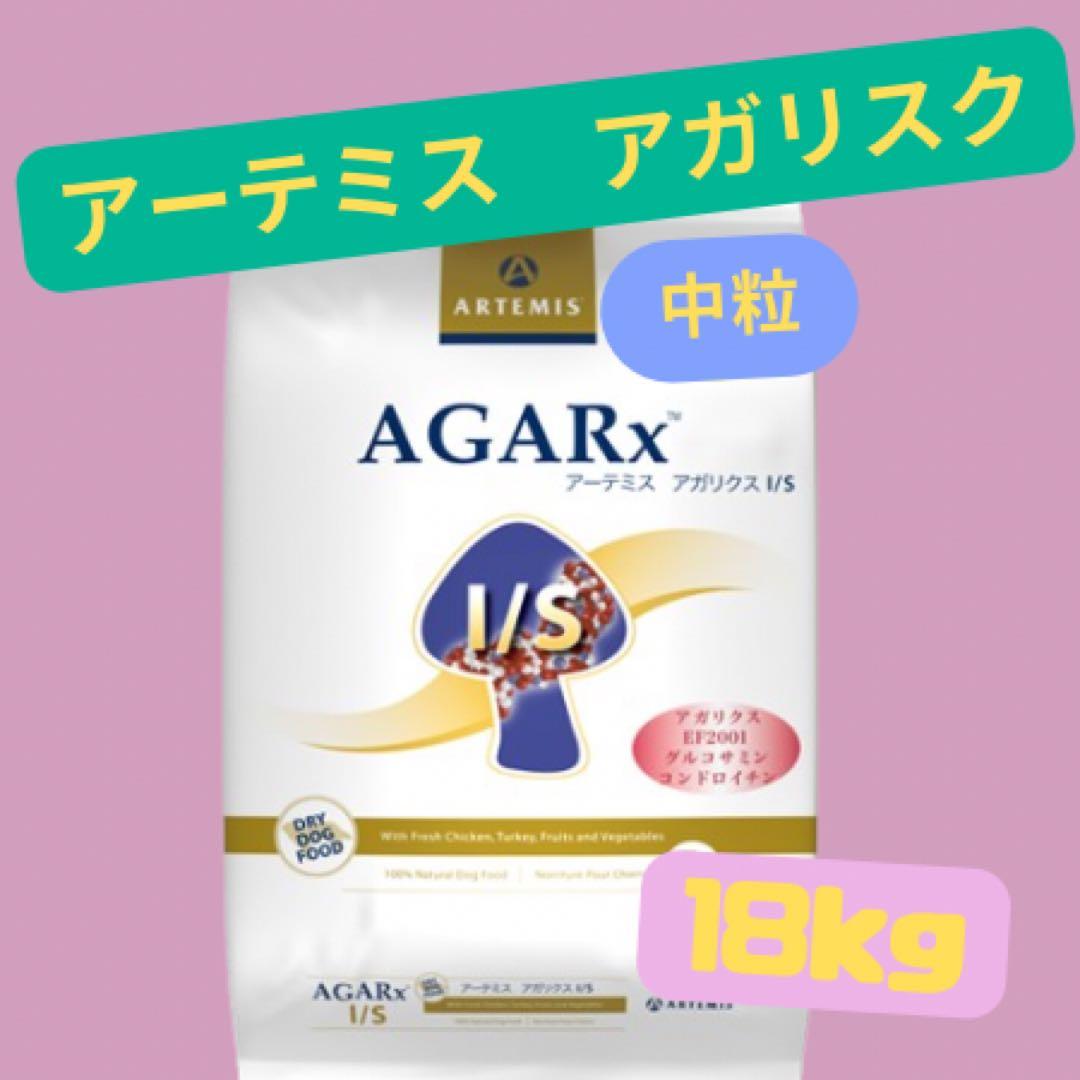 蘭ちゃん