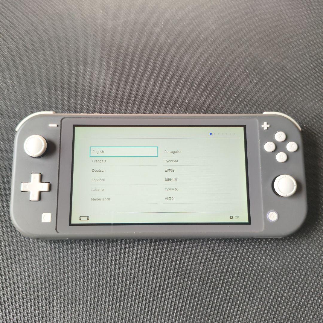 Nintendo Switch Lite グレー ＋ 周辺機器