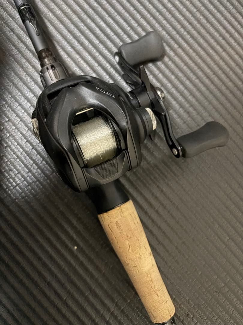専用Daiwa TATULA TW100H