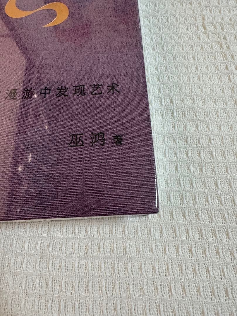 B生动 在漫游中发现艺术 巫鸿 豆瓣8.4