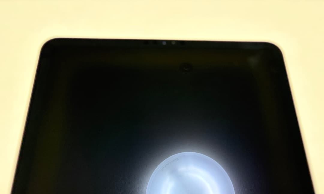 iPad Pro (11インチ)(第2世代) グレー　本体のみ