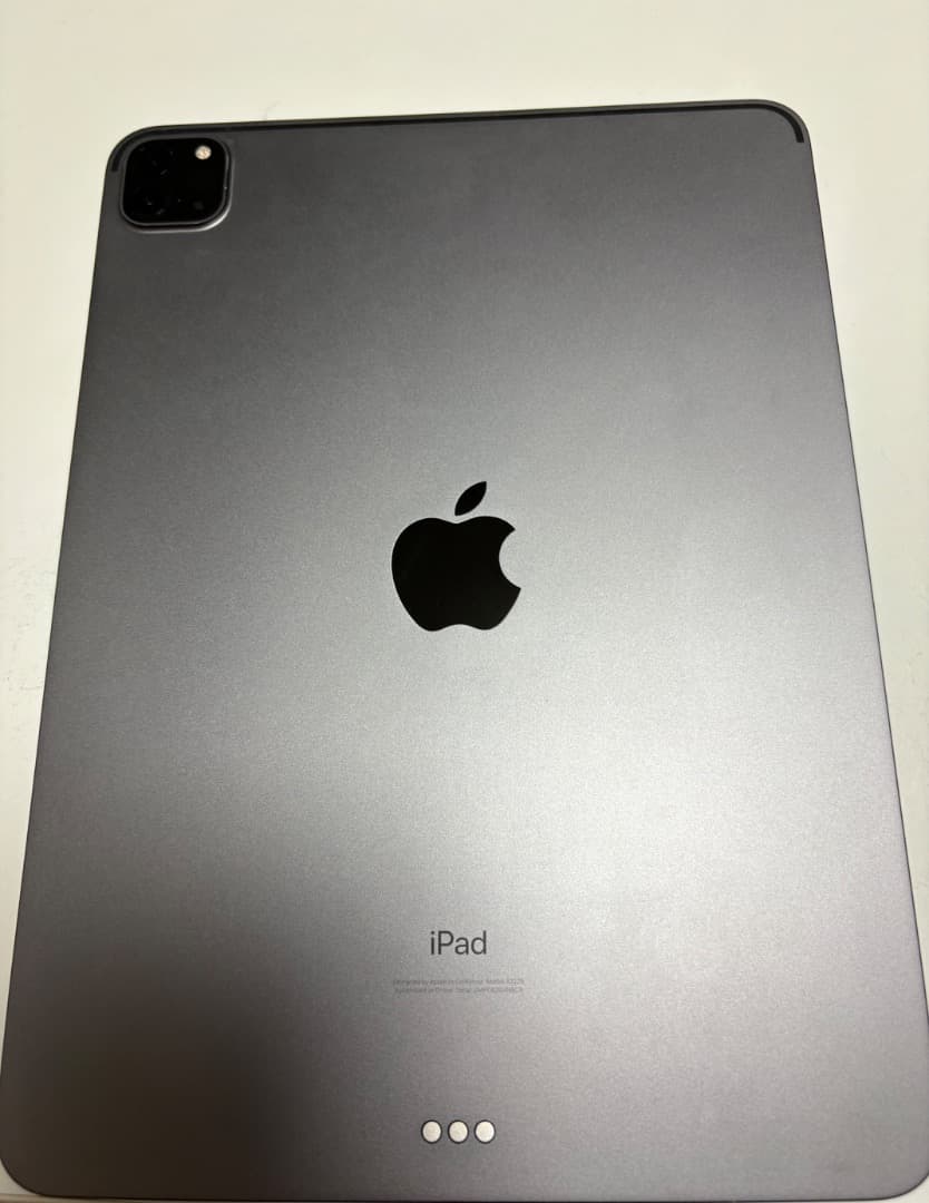 iPad Pro (11インチ)(第2世代) グレー　本体のみ