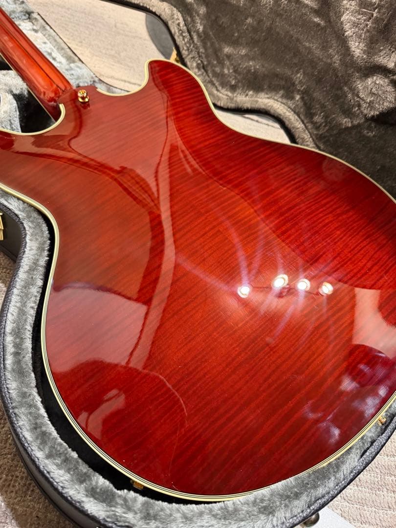 【美品】D'Angelico Excel DC バリ虎