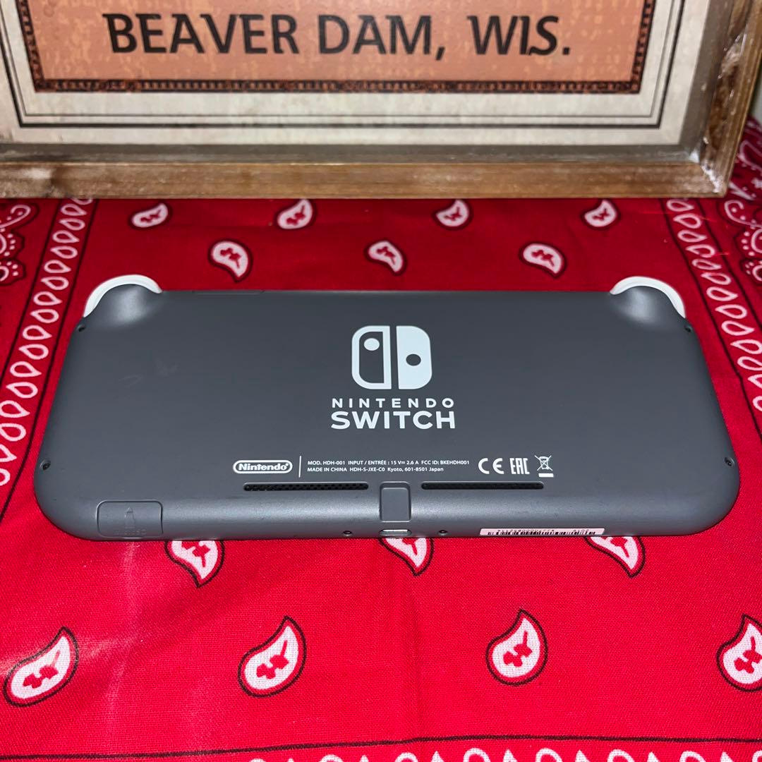 Nintendo Switch Lite グレー 充電器＋スマブラカセット付き