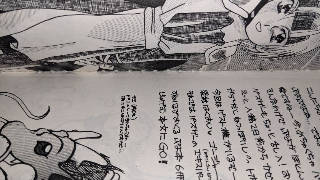 じゅげむ ぷよぷよ　魔導物語　同人誌 　すねいる