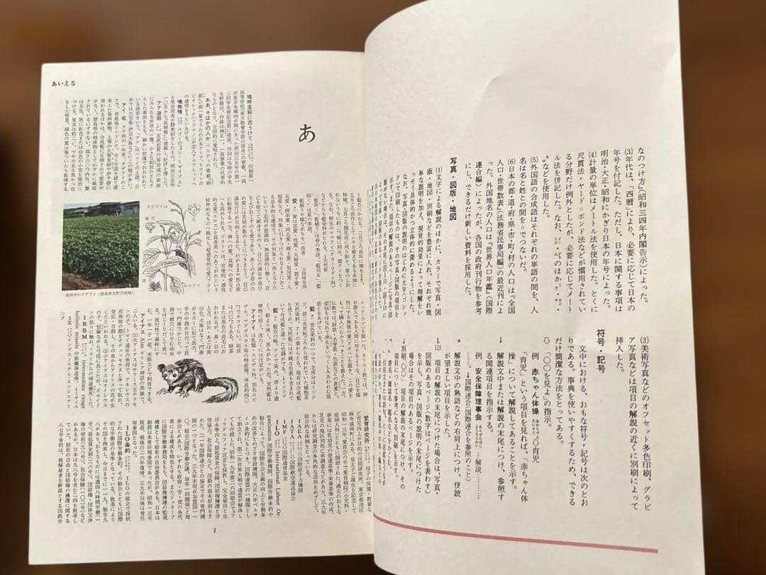 世界　原色百科事典　全８巻　更に10％値下げしました